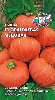 ТЫКВА ОРАНЖЕВАЯ МЕДОВАЯ