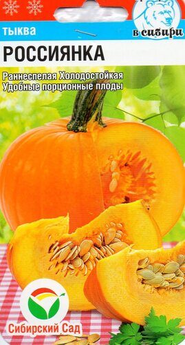 Россиянка 5шт тыква (Сиб Сад)