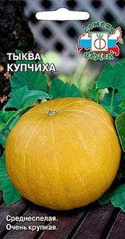 ТЫКВА КУПЧИХА