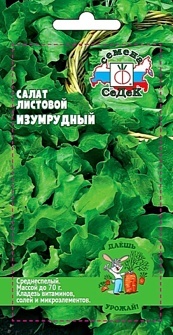 САЛАТ ИЗУМРУДНЫЙ (ЛИСТОВОЙ)