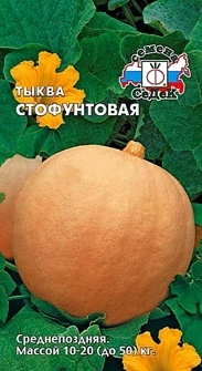 ТЫКВА СТОФУНТОВАЯ