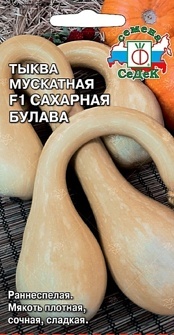 ТЫКВА САХАРНАЯ БУЛАВА (МУСКАТНАЯ)