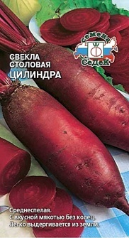 СВЕКЛА ЦИЛИНДРА