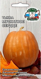 ТЫКВА МУСКАТНОЕ СЕРДЦЕ