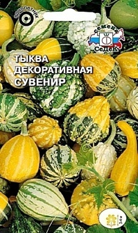 ТЫКВА СУВЕНИР