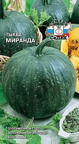 ТЫКВА МИРАНДА